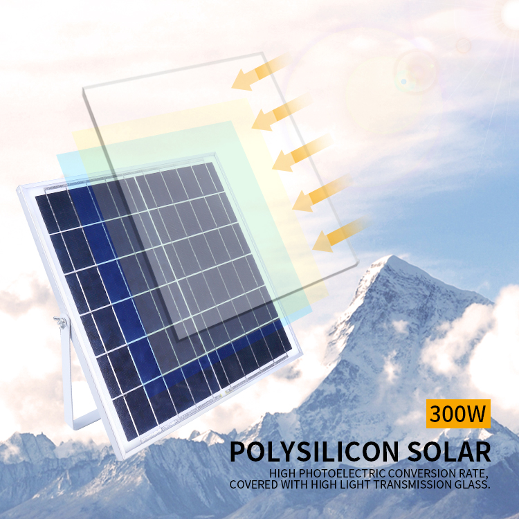 ĐÈN NLMT 02 ( TẤM PIN NLMT)